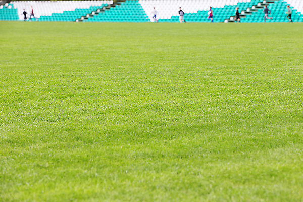 포토 JPG 해외이미지 선 스포츠 백그라운드 패턴 밭 벤치 의자 부분 새로움 운동선수 서기 이벤트 사람없음 건물 가로 빨간색 초록색 여름 운동 숫자 축구 경쟁 경기장 공백 콘서트 게임 소프트포커스 플라스틱 오브젝트 런닝머신 일반 땅바닥 전력질주 줄서기 해외포토 문자 건축물 계절 컬러 가구 컨셉 무늬 농업 스포츠시설 모션 재질 놀이 바닥 촬영기법 건강 구기 운동기구 공연 파일형식 이미지허브