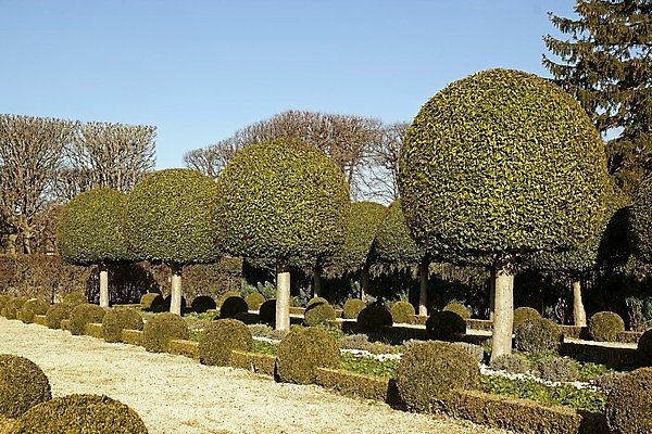 포토 JPG 해외이미지 나무 공원 겨울 자연 사람없음 정원 프랑스 재산 관목 치수 손질 프랑스어 해외포토 식물 문자 계절 공공시설 유럽 금융 생태계 파일형식 이미지허브