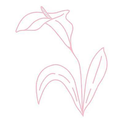 EPS 해외이미지 식물 1 손 디자인 꽃잎 꽃 실루엣 선 분홍색 잎 꽃무늬 일러스트 주택 그래픽 장식 축제 봄 흰색 낙서 두루마리 라인아트 싱글 그림 에코 심플 윤곽 내추럴 고립 엘리먼트 칼라꽃 해외일러스트 계절 컬러 무늬 촬영기법 건물 신체부위 환경 파일형식 벡터 이미지허브