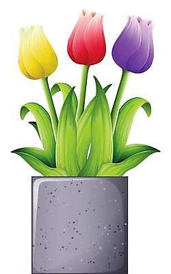 EPS 해외이미지 식물 꽃 과학 백그라운드 일러스트 전구 그래픽 정원 튤립 흰색 개화 그림 잡종 고립 스텝 영원 해외일러스트 컬러 파일형식 벡터 이미지허브