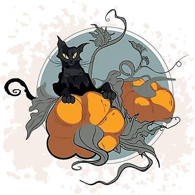 EPS 해외이미지 일러스트 호박 사람없음 고양이 할로윈 해외일러스트 채소 포유류 반려동물 파일형식 벡터 이미지허브