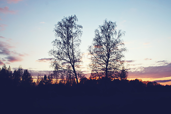 포토 JPG 해외이미지 나무 공원 길 여행 오렌지 자연 아침 풍경 사람없음 야외 빨간색 여름 빛 달리기 햇빛 태양 뷰티 노란색 일출 맑음 보라색 일몰 봄 새벽 광선 가을 시골 숲 장면 내추럴 순간 해외포토 주간 자연요소 식물 계절 공공시설 컬러 과일 모션 날씨 노을 생태계 파일형식 이미지허브
