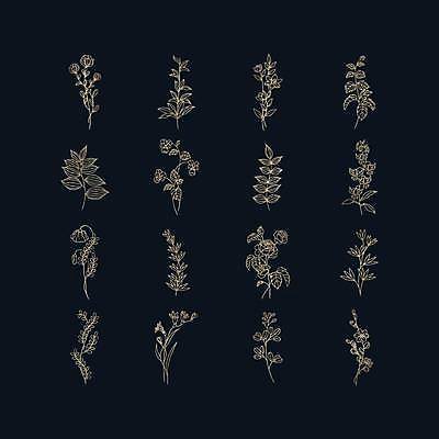 EPS 해외이미지 식물 꽃 잎 라인일러스트 일러스트 사람없음 세트 스타일 해외일러스트 파일형식 벡터 이미지허브