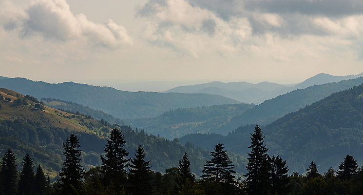 포토 JPG 해외이미지 나무 구름 계절 공원 여행 백그라운드 자연 하늘 아침 휴가 산 파노라마 풍경 초원 사람없음 야외 초록색 여름 파란색 빛 컬러풀 햇빛 태양 환경 계곡 맑음 봄 광선 정상 숲 언덕 전나무 내추럴 우크라이나 절정 해외포토 주간 자연요소 식물 공공시설 유럽 컬러 날씨 촬영기법 생태계 파일형식 이미지허브