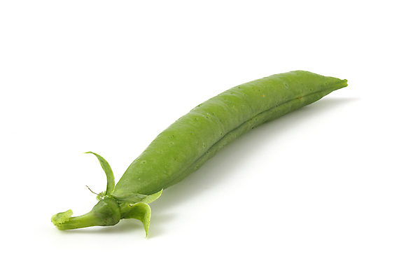 포토 JPG 해외이미지 식물 음식 백그라운드 농업 곡선 다이어트 채소 재료 콩 건강 씨앗 사람없음 초록색 농작물 수확 성장 흰색 신선 오픈 그룹 사발 시장 닫기 낟알 먹기 오브젝트 유기농 질감 완두콩 날것 비타민 고립 꼬투리 바이오 숙성 줄서기 채식주의자 해외포토 웰빙 산업 선 컬러 모션 곡류 사기그릇 채식 영양소 파일형식 이미지허브