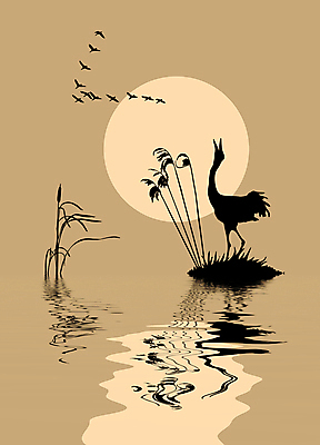 JPG 해외이미지 실루엣 여러마리 일러스트 사람없음 태양 반사 학 비행 베이지색 부들 오리떼 해외일러스트 자연요소 컬러 다수 조류 오리 촬영기법 파일형식 이미지허브