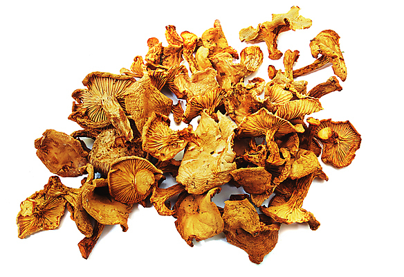 포토 JPG 해외이미지 계절 음식 백그라운드 다이어트 채소 재료 자연 건조 건강 요리 사람없음 목재 갈색 노란색 어둠 버섯 가을 흰색 신선 그룹 황금 맛 숲 유기농 날것 트럼펫 흙더미 내추럴 고립 곰팡이 식용 채식주의자 많음 맛있는 해외포토 나무 웰빙 컬러 컨셉 흙 금관악기 생태계 채식 파일형식 더미 이미지허브