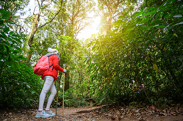 포토 JPG 해외이미지 라이프스타일 여자 스포츠 여행 배낭 가족 자국 태국 자연 성공 휴가 산 함께함 건강 한명 사람 야외 여행객 걷기 일몰 트래킹 하이킹 자유 탐험 잡기 도움 숲 언덕 땅바닥 하이커 해외포토 1 아시아 컨셉 가방 관계 모션 레저 바닥 생활 노을 생태계 파일형식 이미지허브