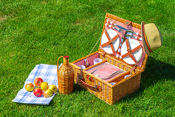 포토 JPG 해외이미지 주간 접시 포크 잔디 사람없음 야외 소풍 숟가락 나이프 병 사과 천 중절모 체크무늬 소풍바구니 해외포토 자연요소 식물 모자_잡화 식기 무늬 과일 수저 야외활동 바구니 직물 칼 파일형식 이미지허브