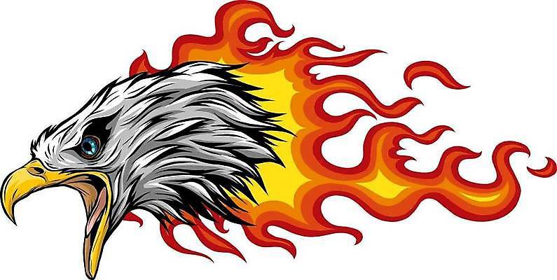 EPS 해외이미지 동물 캐릭터 디자인 야생동물 포즈 오렌지 일러스트 모션 조류 불 추상 불꽃 가로 노란색 머리 힘 에너지 뜨거움 자신감 변화 공격 만화 문신 심볼 깃털 속도 클럽 부리 독수리 육식동물 불만 고립 마스코트 요금 화상 해외일러스트 일러캐릭터 자연요소 감정 컬러 컨셉 무늬 과일 신체부위 상처 파일형식 벡터 이미지허브