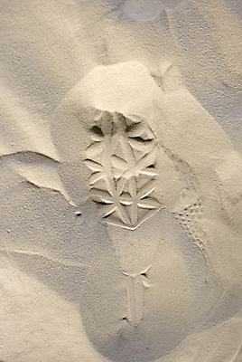 포토 JPG 해외이미지 주간 모래 백그라운드 사람없음 야외 발자국 해외포토 자연요소 자국 파일형식 이미지허브