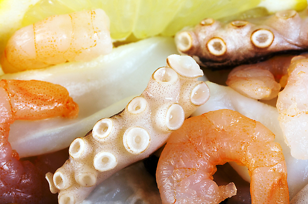 포토 JPG 해외이미지 접시 음식 바다 분홍색 백그라운드 다이어트 채소 조개 새우 건강 육류 갑각류 요리 사람없음 가로 빨간색 식사 저녁식사 샐러드 튀김 굴 흰색 신선 맛 먹기 레몬 해산물 오징어 준비 홍합 문어 점심식사 단백질 삶기 맛있는 해외포토 동물 식기 컬러 컨셉 과일 식재료 모션 어패류 연체동물 수중동물 영양소 파일형식 이미지허브