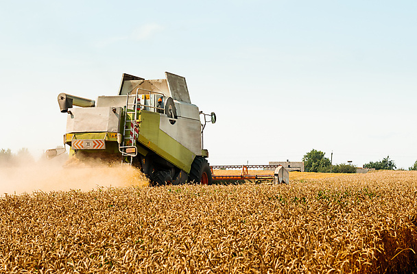포토 JPG 해외이미지 계절 산업 밭 농업 자연 건조 옥수수 씨앗 사람없음 농작물 농경지 노란색 기계 모임 수확 시골 못 황금 농부 결합 낟알 땅 자르기 시리얼 밀 수집 유기농 보리 먼지 짐차 밀짚 밭일 숙성 호밀 해외포토 식물 직업 웰빙 음식 컬러 모션 자동차 곡류 농장 공구 짚 생태계 파일형식 이미지허브