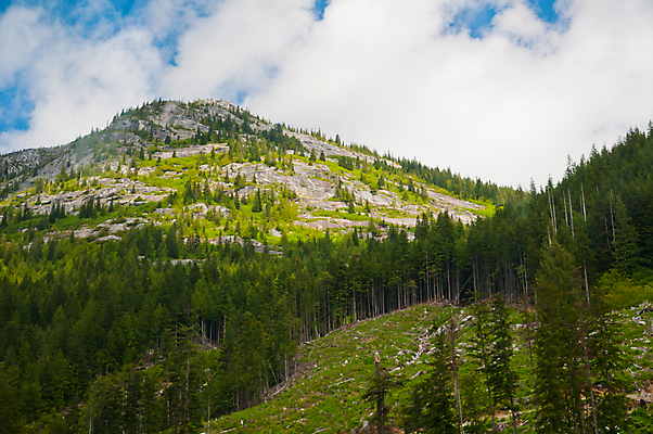 포토 JPG 해외이미지 주간 나무 자연 하늘 산 사람없음 야외 초록색 해외포토 자연요소 식물 컬러 생태계 파일형식 이미지허브