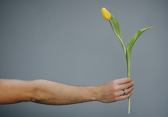 포토 JPG 해외이미지 손 한송이 실내 들기 신체부위 튤립 해외포토 1 꽃 모션 사람 내부 송이 파일형식 이미지허브