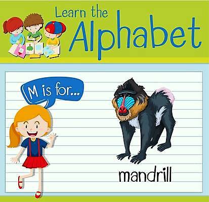 EPS 해외이미지 전신 영어 여자 남자 야생동물 어린이 말풍선 일러스트 포유류 영어교육 소녀 소년 여러명 상반신 단어 학습 손인사 다리들기 단어공부 어린이만 단어장 해외일러스트 동물 문자 교육 다수 모션 사람 공책 인사 파일형식 벡터 이미지허브