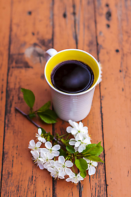 포토 JPG 해외이미지 전통 접시 꽃 할머니 음식 빵 백그라운드 디저트 치즈 요리 한명 목재 컵 세로 케이크 빵집 시골 신선 오픈 뜨거움 달콤 아침식사 커피잔 반죽 깨짐 러시아인 전국 타르트 핸드메이드 생존 맛있는 해외포토 서양인 나무 식물 1 식기 여자 노년 커피 컨셉 재료 잔 유제품 사람 상점 식사 맛 파이_빵 파일형식 이미지허브