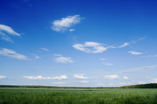 포토 JPG 해외이미지 식물 구름 계절 밭 농업 자연 하늘 풍경 잔디 초원 사람없음 야외 초록색 여름 파란색 환경 침묵 전원 신선 숲 땅 러시아 넘어짐 수평선 해외포토 자연요소 유럽 산업 컬러 모션 소리 전기에너지 생태계 파일형식 이미지허브