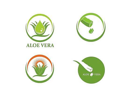 EPS 해외이미지 식물 디자인 일러스트 사람없음 연두색 물방울무늬 물방울 심볼 알로에 알로에베라 해외일러스트 무늬 초록색 파일형식 벡터 이미지허브