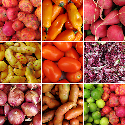 포토 JPG 해외이미지 모양 식물 음식 백그라운드 컨셉 패턴 농업 다이어트 토마토 채소 재료 자연 양파 건강 요리 사람없음 빨간색 컬러풀 식당 보라색 저녁식사 이탈리아 신선 그룹 맛 상추 먹기 레몬 오브젝트 유기농 후추 비타민 내추럴 숙성 채식주의자 총각무 많음 맛있는 해외포토 웰빙 유럽 산업 컬러 무늬 과일 모션 상점 식사 무 향신료 생태계 채식 영양소 파일형식 이미지허브