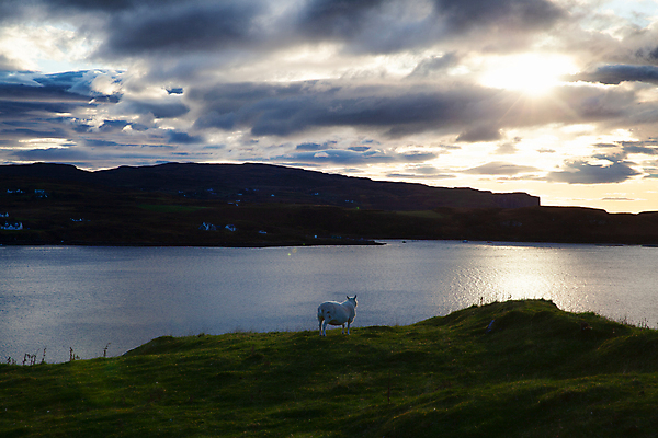 포토 JPG 해외이미지 구름 유럽 호수 여행 하늘 산 풍경 사람없음 야외 물 파란색 계곡 황혼 일몰 가을 바위 양 언덕 산악지대 스코틀랜드 해외포토 자연요소 계절 나라 컬러 포유류 영국 노을 돌_바위 파일형식 이미지허브