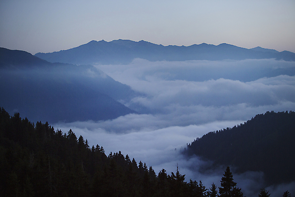 포토 JPG 해외이미지 지붕 굴뚝 사람없음 안개 숲 난로 삼림지대 해외포토 날씨 난방기 파일형식 이미지허브