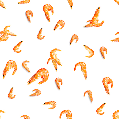 포토 JPG 해외이미지 패턴 새우 사람없음 주황색 흰색 해외포토 컬러 무늬 갑각류 파일형식 이미지허브