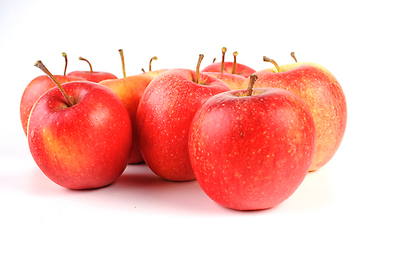 포토 JPG 해외이미지 과일 실내 사람없음 여러개 사과 흰배경 해외포토 다수 백그라운드 내부 흰색 파일형식 이미지허브