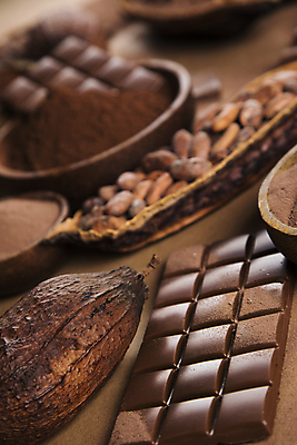 포토 JPG 해외이미지 디저트 사람없음 아웃포커스 초콜릿 달콤 카카오열매 코코아가루 갈색배경 해외포토 열매 음식 백그라운드 촬영기법 갈색 맛 가루 카카오 파일형식 이미지허브