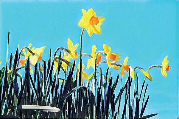 EPS 해외이미지 식물 계절 꽃잎 꽃 백그라운드 잎 꽃무늬 패턴 밭 오렌지 일러스트 자연 초원 치료 장식 초록색 여름 컬러풀 햇빛 태양 약 노란색 머리 정원 맑음 봄 활발 벚꽃 신선 개화 닫기 약초 허브 오브젝트 데이지 내추럴 금잔화 고립 해외일러스트 자연요소 컬러 컨셉 무늬 농업 과일 의학 모션 날씨 신체부위 풀 생태계 파일형식 벡터 이미지허브