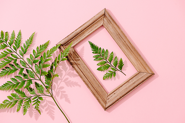 포토 JPG 해외이미지 액자 잎 실내 액자틀 사람없음 분홍색배경 해외포토 식물 분홍색 백그라운드 틀 내부 파일형식 이미지허브