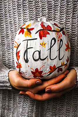 포토 JPG 해외이미지 손 호박 들기 신체부위 장식 스웨터 오브젝트 해외포토 상의 채소 모션 사람 파일형식 이미지허브