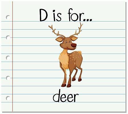 EPS 해외이미지 한마리 알파벳 영어 일러스트 사슴 영어교육 사람없음 단어 D 단어카드 해외일러스트 문자 1 교육 포유류 파일형식 벡터 단어장 이미지허브