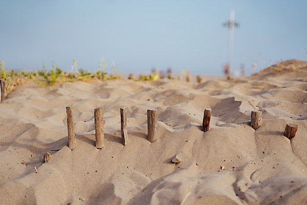 포토 JPG 해외이미지 길 모래 바다 섬 여행 패턴 자연 하늘 휴가 건조 해변 사람없음 야외 목재 물 파란색 울타리 태양 수영 프랑스 망토 모래언덕 탈출 봉 스카이라인 대서양 캡모자 해외포토 자연요소 나무 모자_잡화 유럽 컬러 컨셉 무늬 재료 담장 수상스포츠 언덕 생태계 파일형식 이미지허브