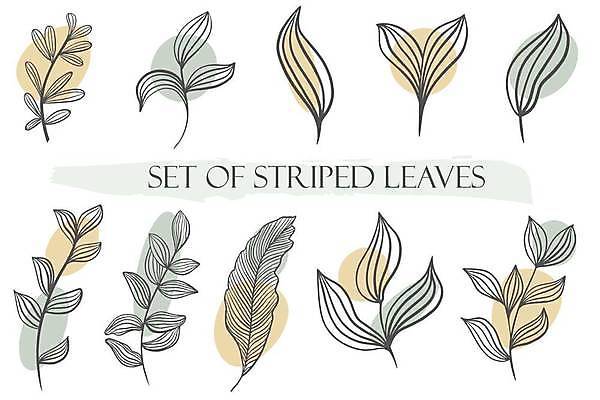 EPS 해외이미지 나무 식물 디자인 꽃 선 백그라운드 잎 패턴 곡선 일러스트 자연 벽지 미술 그래픽 장식 세트 유행 검은색 봄 줄무늬 수확 나뭇가지 얼룩 그리기 숲 수집 허브 그림 손그림 시트 내추럴 고립 블러 엘리먼트 미니멀리스트 해외일러스트 계절 컬러 무늬 농업 모션 문화예술 생태계 파일형식 벡터 이미지허브