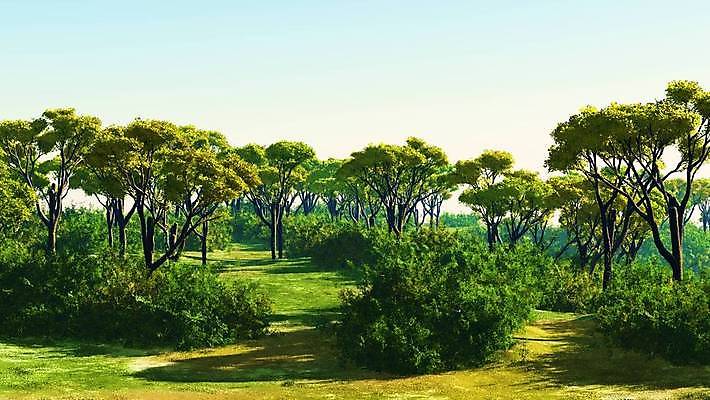 포토 JPG 해외이미지 나무 식물 자연 하늘 아침 파노라마 사람없음 야외 여름 파란색 햇빛 뷰티 평화 일출 맑음 고요 황혼 일몰 새벽 황금 저녁 숲 그리스 명상 만족 생태계 윤곽 장면 마법 크로아티아 수평선 해외포토 주간 자연요소 계절 감정 유럽 컬러 컨셉 날씨 촬영기법 태양 노을 야간 파일형식 이미지허브