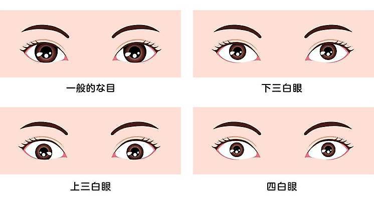 EPS 해외이미지 모양 응시 아시아 얼굴 일러스트 건강 사람 동양인 약 일본 중국 인포그래픽 중앙 눈동자 묘사 시력 치수 비전 붓꽃 돌봄 광학 해외일러스트 시선 꽃 나라 의학 모션 인종 신체부위 눈 안구 파일형식 벡터 식물 이미지허브