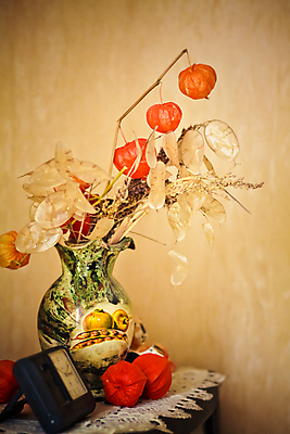 포토 JPG 해외이미지 식물 열매 꽃 음식 백그라운드 잎 겨울 토마토 오렌지 과일 자연 건조 씨앗 사람없음 장식 빨간색 뷰티 노란색 꽃병 중국 공백 활발 가을 흰색 화려 달콤 백합 묘사 질감 엽서 슛 구스베리 해외포토 계절 아시아 컬러 컨셉 채소 맛 편지 생태계 파일형식 이미지허브