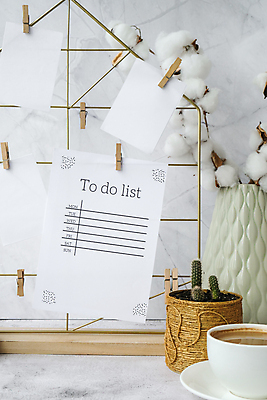 포토 JPG 해외이미지 화분 종이 커피 선인장 실내 사람없음 계획표 오브젝트 대리석 나무집게 메모보드판 목화꽃 선인장화분 목화솜 투두리스트 해외포토 식물 꽃 음료 재료 집게 내부 목재 계획 솜 리스트 파일형식 이미지허브