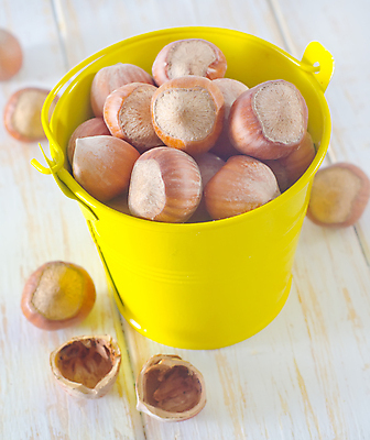 포토 JPG 해외이미지 실내 사람없음 견과류 껍질 양동이 담기 헤이즐넛 나무배경 해외포토 백그라운드 모션 내부 파일형식 이미지허브