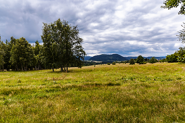 포토 JPG 해외이미지 나무 유럽 길 여행 밭 자국 자연 하늘 산 파노라마 사람없음 야외 초록색 파란색 환경 하이킹 숲 큼 오솔길 언덕 폴란드 해외포토 식물 나라 컬러 농업 레저 촬영기법 크기 생태계 파일형식 이미지허브
