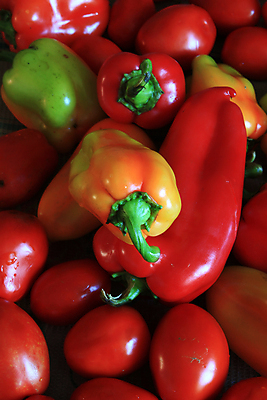 포토 JPG 해외이미지 라이프스타일 음식 줄기 백그라운드 채소 오렌지 과일 재료 표면 기술 건강 사람없음 빨간색 빛 세트 쌓기 상점 활발 종 신선 그룹 수집 배열 먹기 가득함 향신료 오브젝트 날것 후추 슈퍼마켓 고립 멀티 해외포토 식물 컬러 컨셉 모션 생활 향미료 파일형식 이미지허브