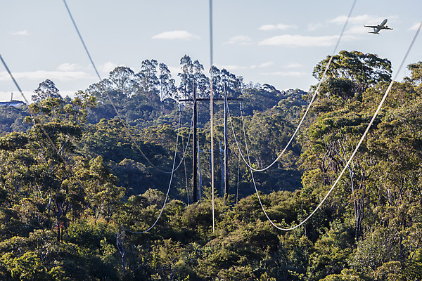 포토 JPG 해외이미지 구름 선 하늘 사람없음 야외 목재 파란색 갈색 환경 사진촬영 힘 기둥 큼 전화기 전염 철사 봉 일반 국회 변압기 해외포토 자연요소 나무 건축 컬러 재료 촬영 질병 크기 감염 파일형식 이미지허브