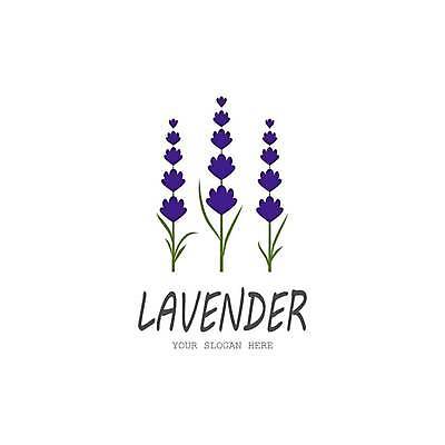 EPS 해외이미지 식물 디자인 꽃 꽃다발 백그라운드 잎 꽃무늬 일러스트 자연 건강 세트 정원 보라색 벚꽃 흰색 신선 다발 허브 제비꽃 아로마 향 아로마테라피 라벤더 내추럴 고립 엘리먼트 해외일러스트 컬러 무늬 생태계 테라피 파일형식 벡터 이미지허브