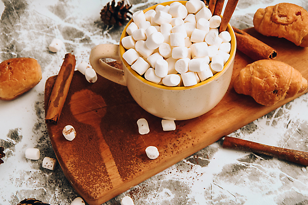 포토 JPG 해외이미지 회색배경 실내 따뜻함 사람없음 머그컵 달콤 크루아상 솔방울 감성 코코아 마시멜로우 나무도마 시나몬스틱 코코아가루 해외포토 음료 빵 백그라운드 컨셉 디저트 도마 내부 목재 컵 회색 맛 가루 시나몬 파일형식 이미지허브