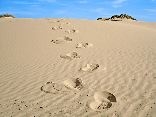 포토 JPG 해외이미지 계절 모래 자연 하늘 날씨 건조 사람없음 사막 뜨거움 발자국 내추럴 고립 해외포토 자국 생태계 파일형식 이미지허브