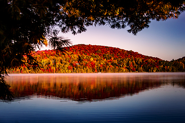 포토 JPG 해외이미지 나무 호수 캐나다 사람없음 물 햇빛 반사 숲 해외포토 자연요소 식물 북아메리카 태양 파일형식 이미지허브