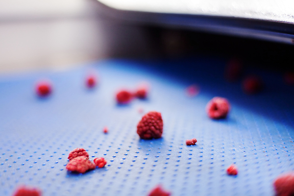 포토 JPG 해외이미지 공장 사람없음 아웃포커스 냉동 기계 제조 산딸기 식품공장 냉동식품 해외포토 음식 과일 공업 촬영기법 파일형식 이미지허브