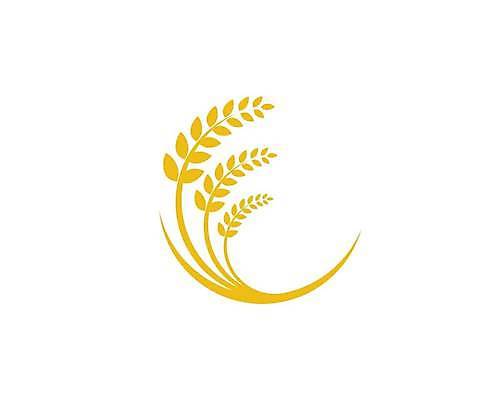 EPS 해외이미지 식물 디자인 음식 빵 백그라운드 밭 농업 일러스트 자연 밥 수채화 건강 씨앗 농작물 농장 노란색 라벨 빵집 수확 흰색 황금 낟알 시리얼 밀 심볼 사인 유기농 보리 귀 밀가루 스파이크 내추럴 고립 밭일 엘리먼트 호밀 해외일러스트 웰빙 산업 컬러 곡류 프레임 신체부위 상점 가루 생태계 파일형식 벡터 이미지허브