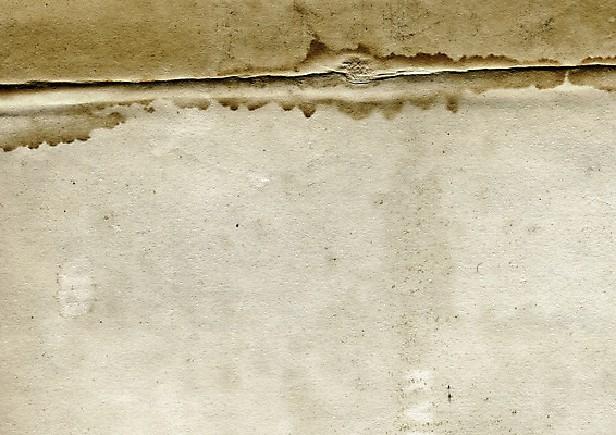 포토 JPG 해외이미지 디자인 종이 백그라운드 표면 날씨 추상 프레임 사람없음 책 갈색 노란색 우주 쪽지 공백 손상 수확 덮개 점 거친 주름 균열 황폐 질감 복고 심플 캔버스 페이지 스크래치 찢어짐 판지 구김 구식 그런지 세피아 양피지 옛날 원고 파피루스 노화 스타일 해외포토 식물 컬러 컨셉 무늬 농업 모션 촬영기법 뚜껑 파일형식 이미지허브